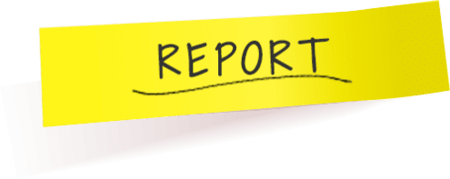 REPORT
